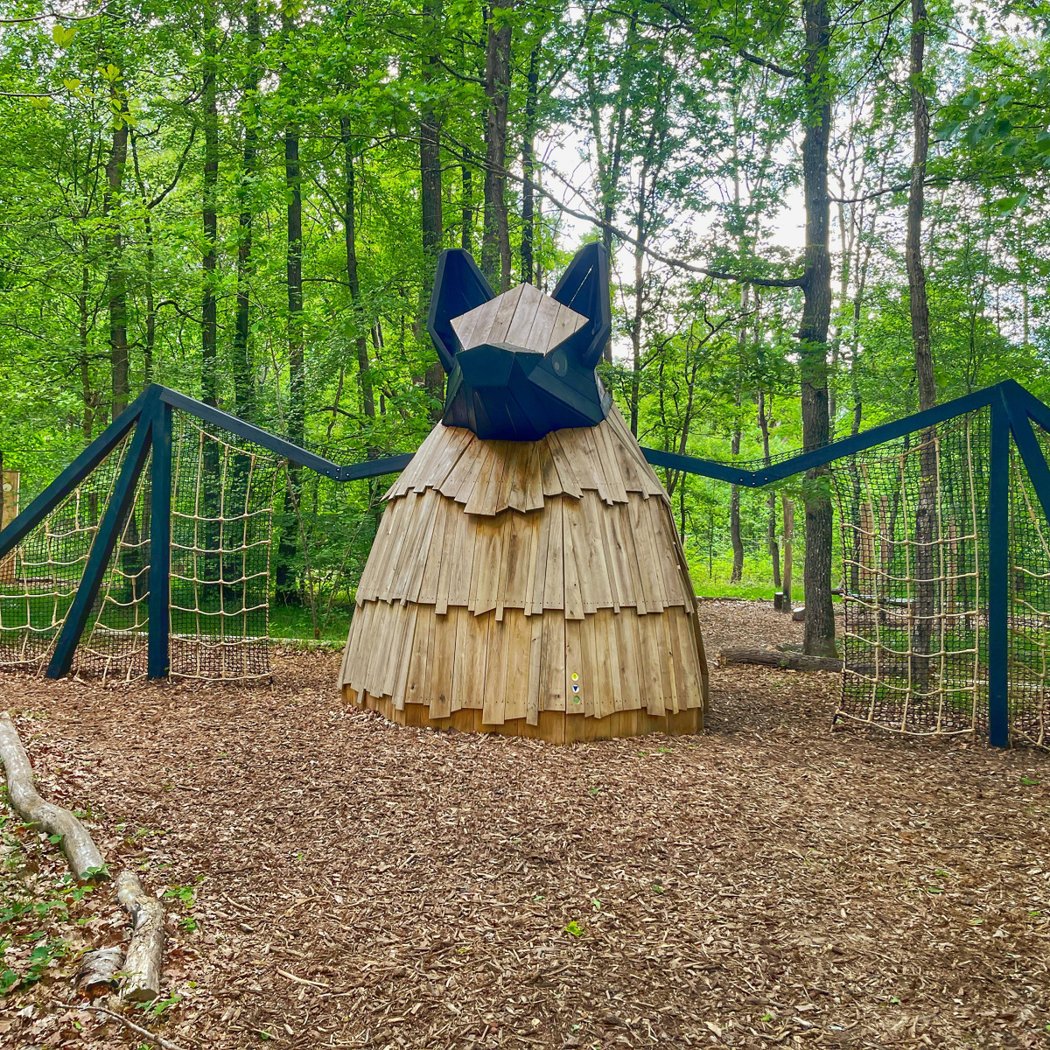 Foret des Yvelines 1