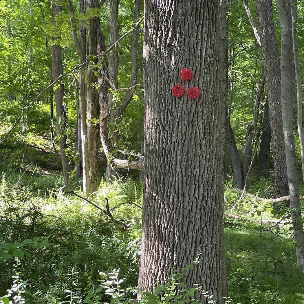 Wonder Lake State Park Hiking Trails 3