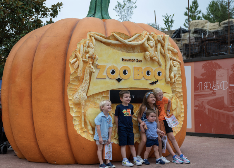 Zoo Boo 3