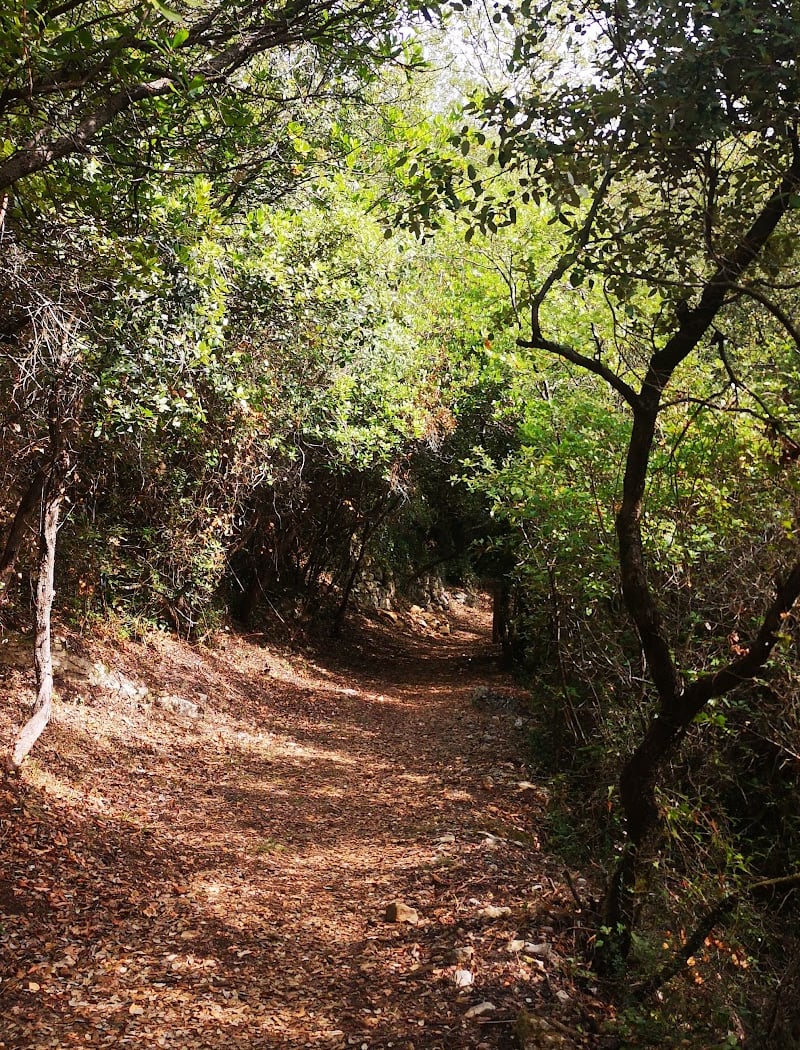 Parc Naturel Départemental de Roquevignon 4