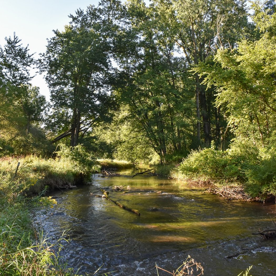 Sloan Preserve 3