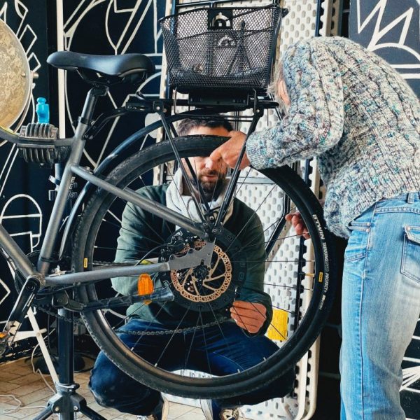 Les vélos sauvages