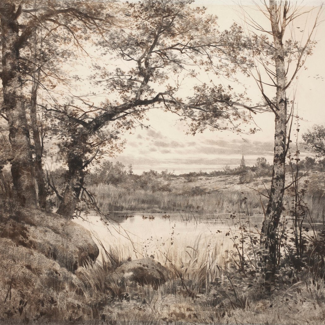 La nature révélée. Les dessins d’Auguste Allongé (1833-1898) 1