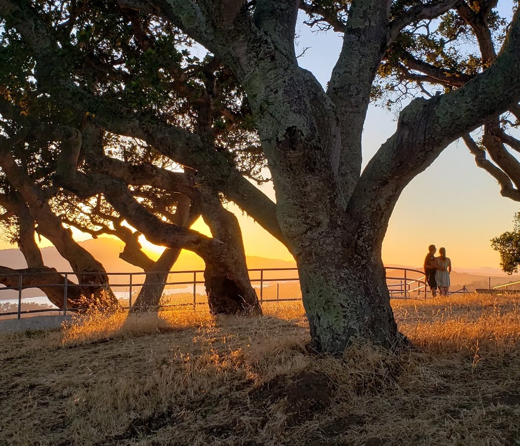 Pulgas Ridge Open Space Preserve 1