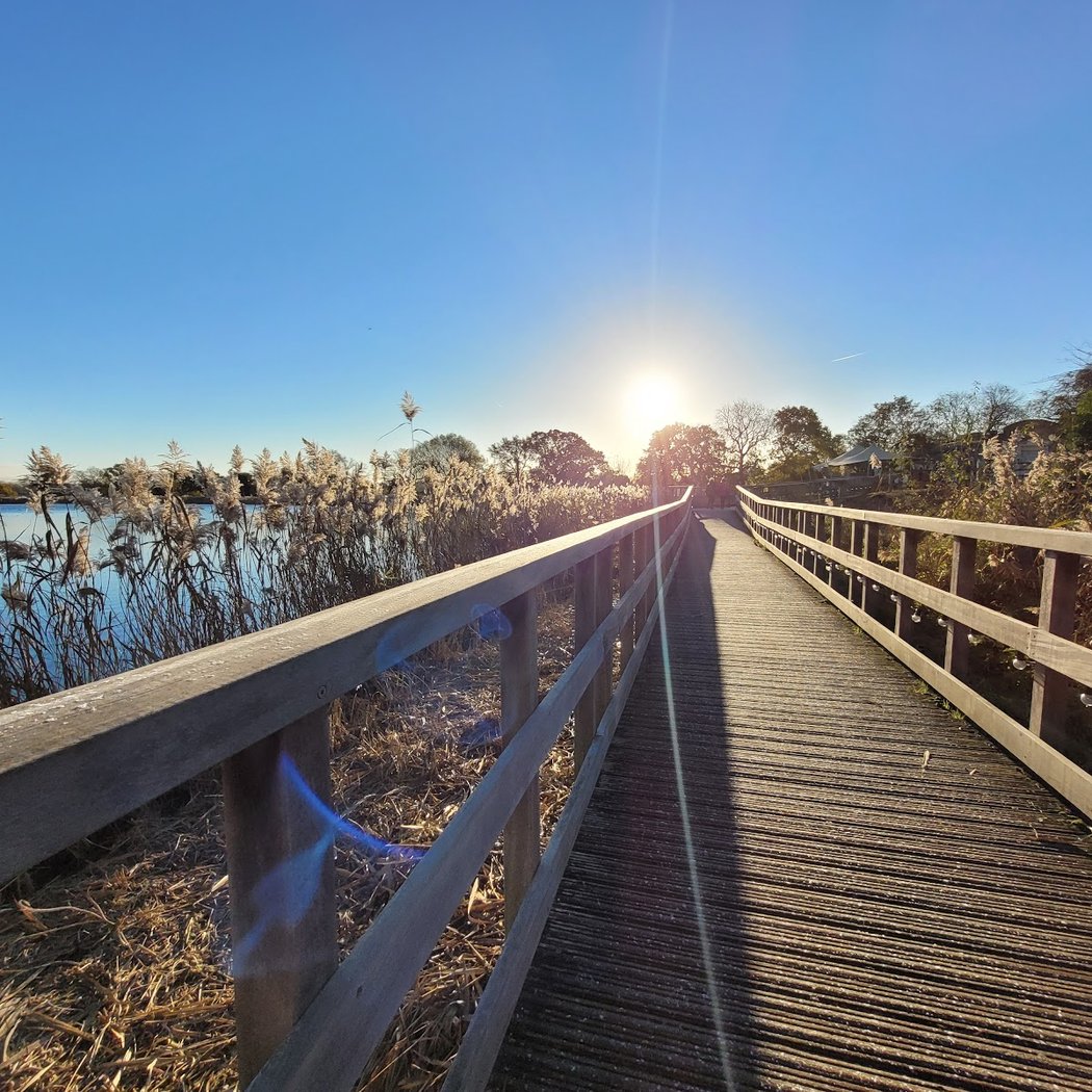 Woodberry Wetlands, London Wildlife Trust 1