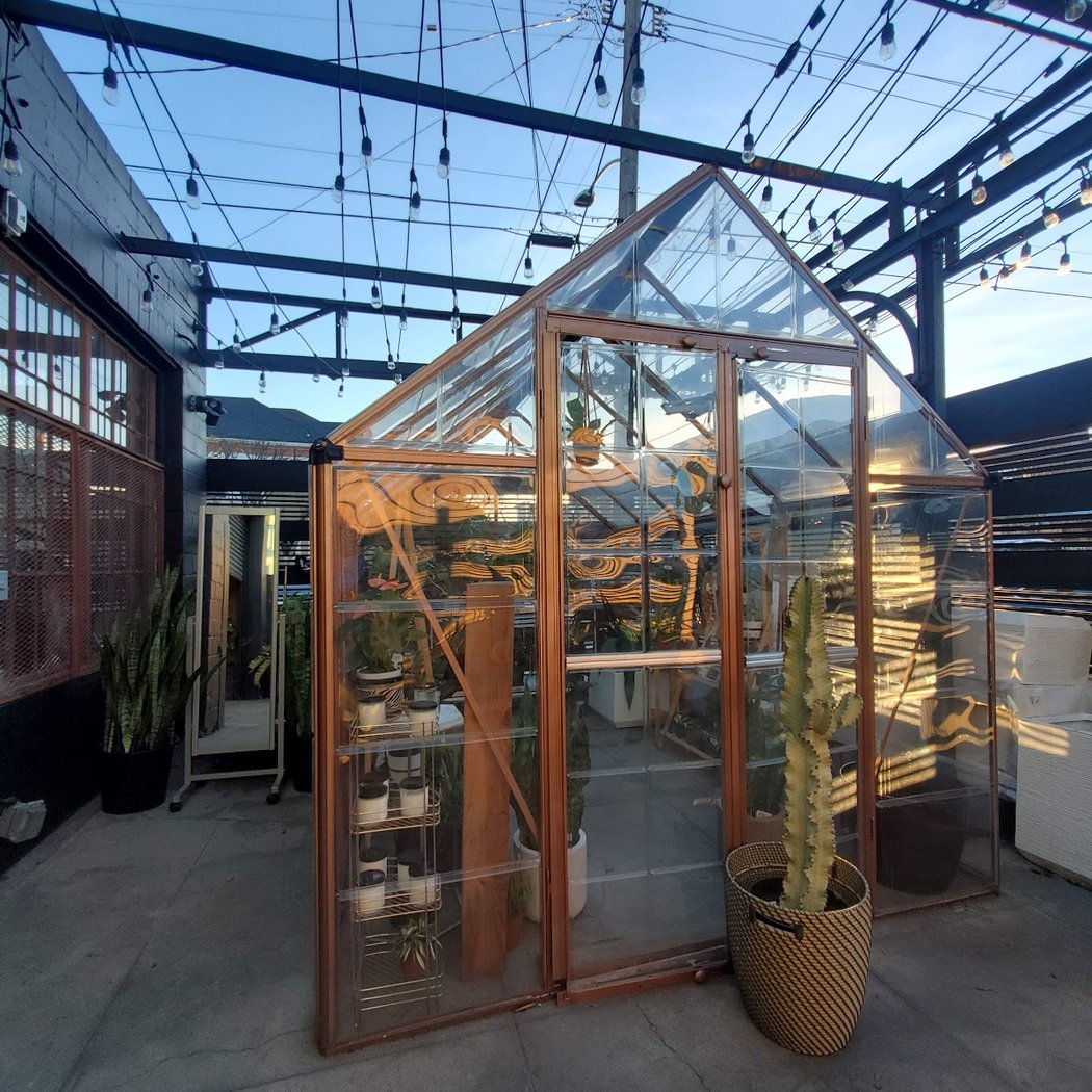 Blk Girls Green House 3
