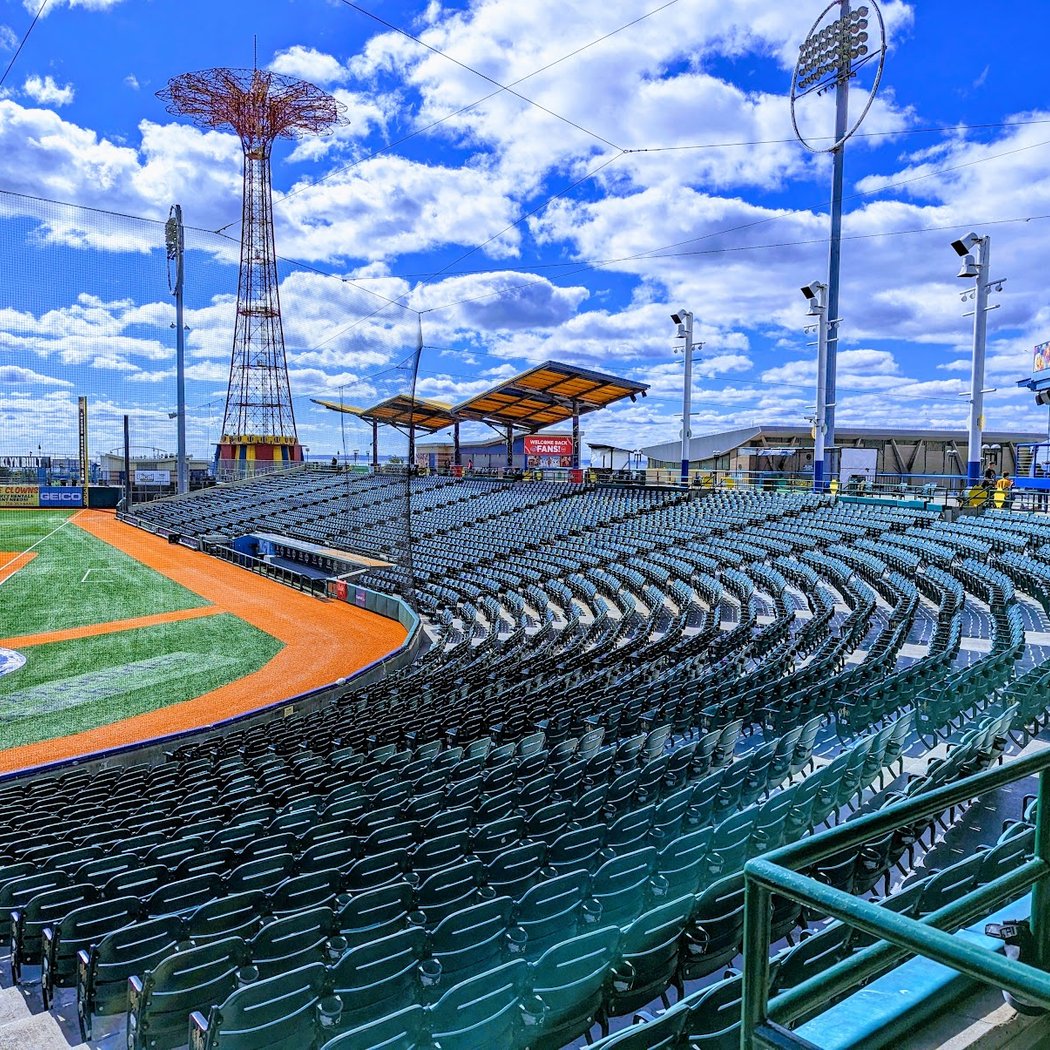 Baseball Game with Your Dog 1