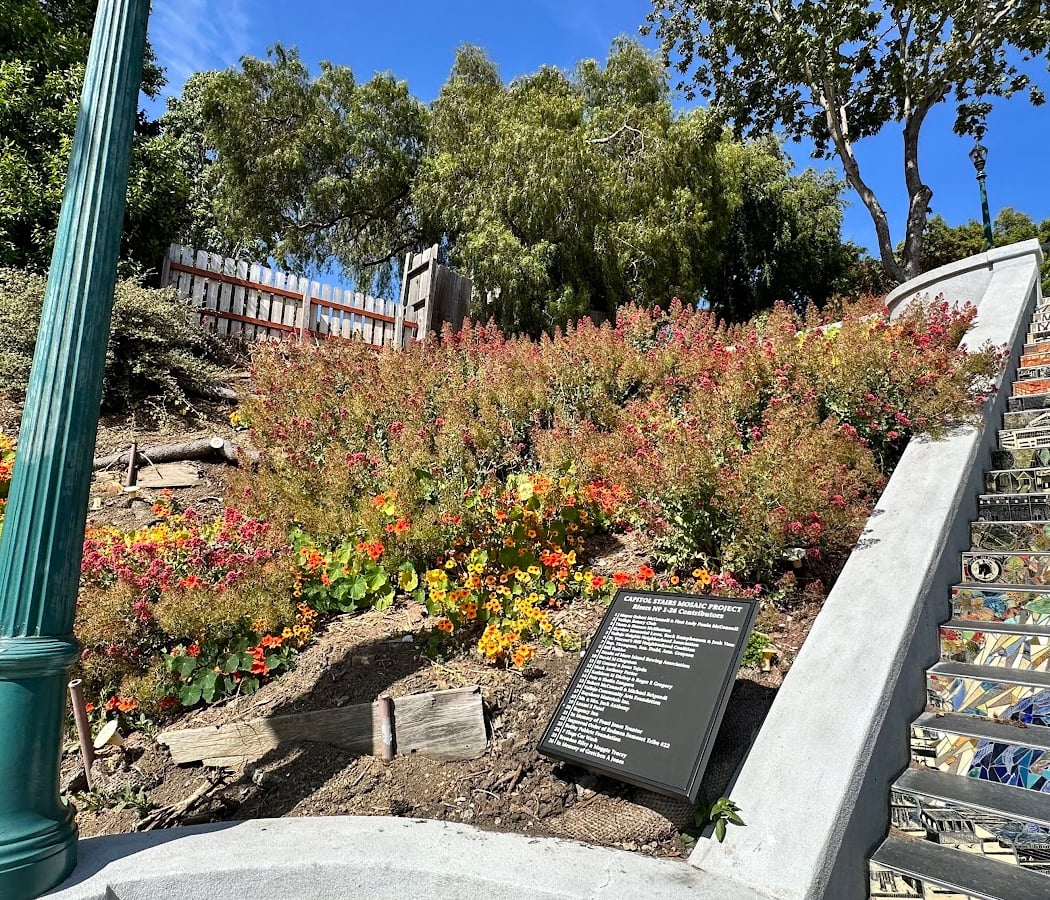 Capitol Street Steps 3
