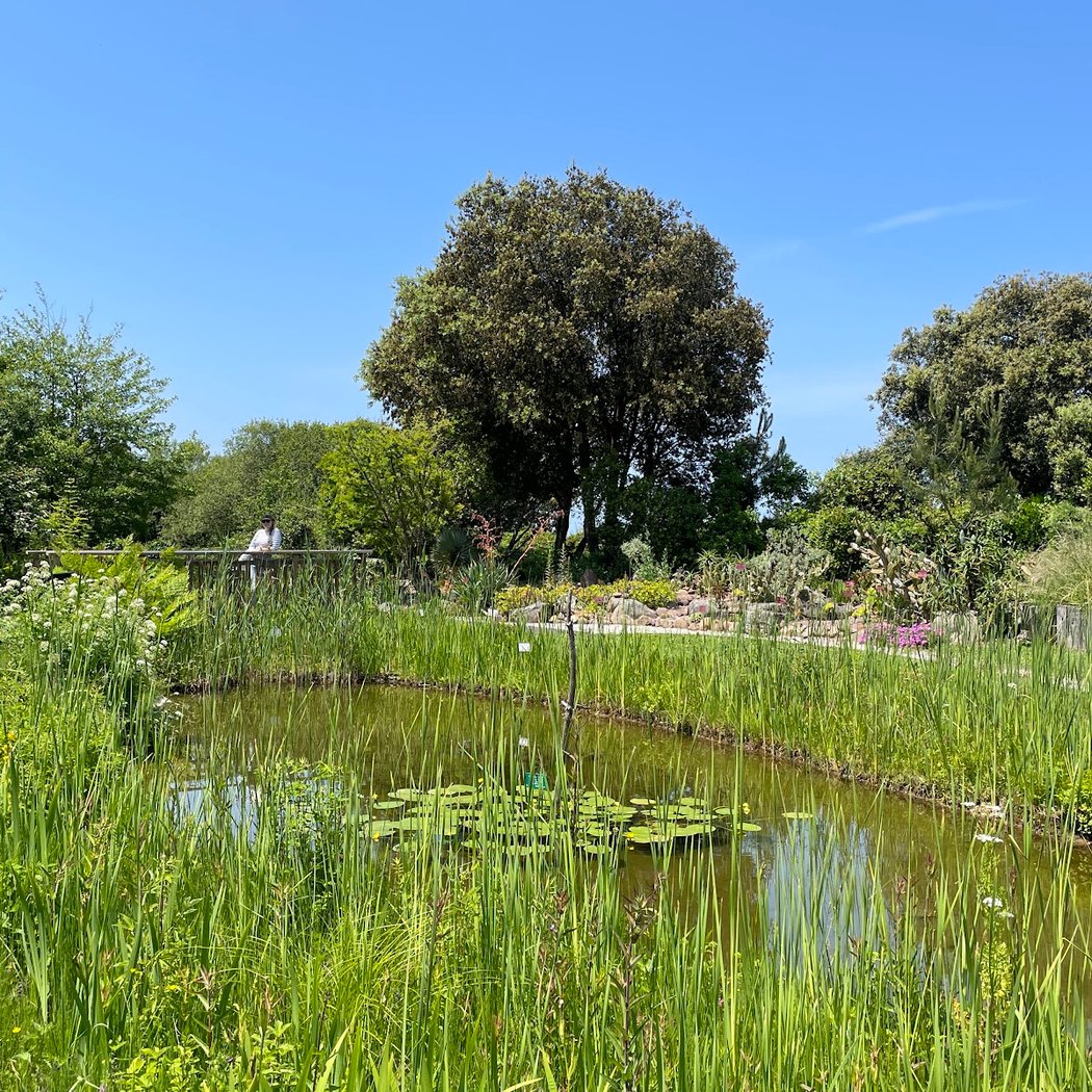 Saint Jean de Luz Botanical Garden 3