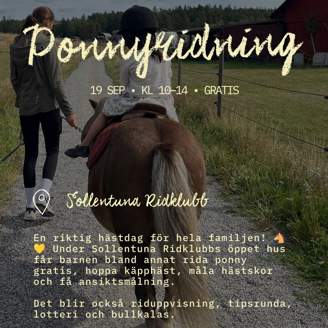 Gratis ponnyridning 1
