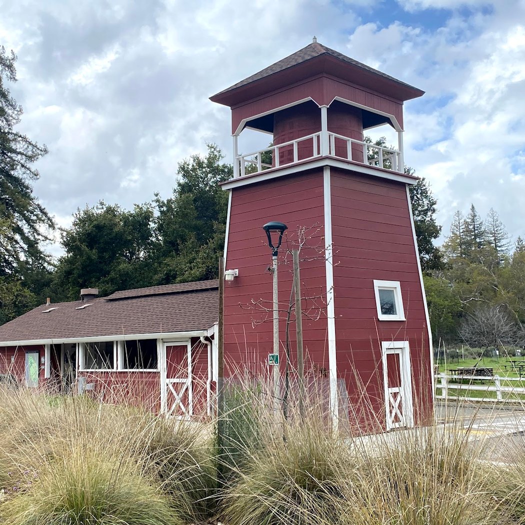 Restoration and Birding at McClellan Ranch 2