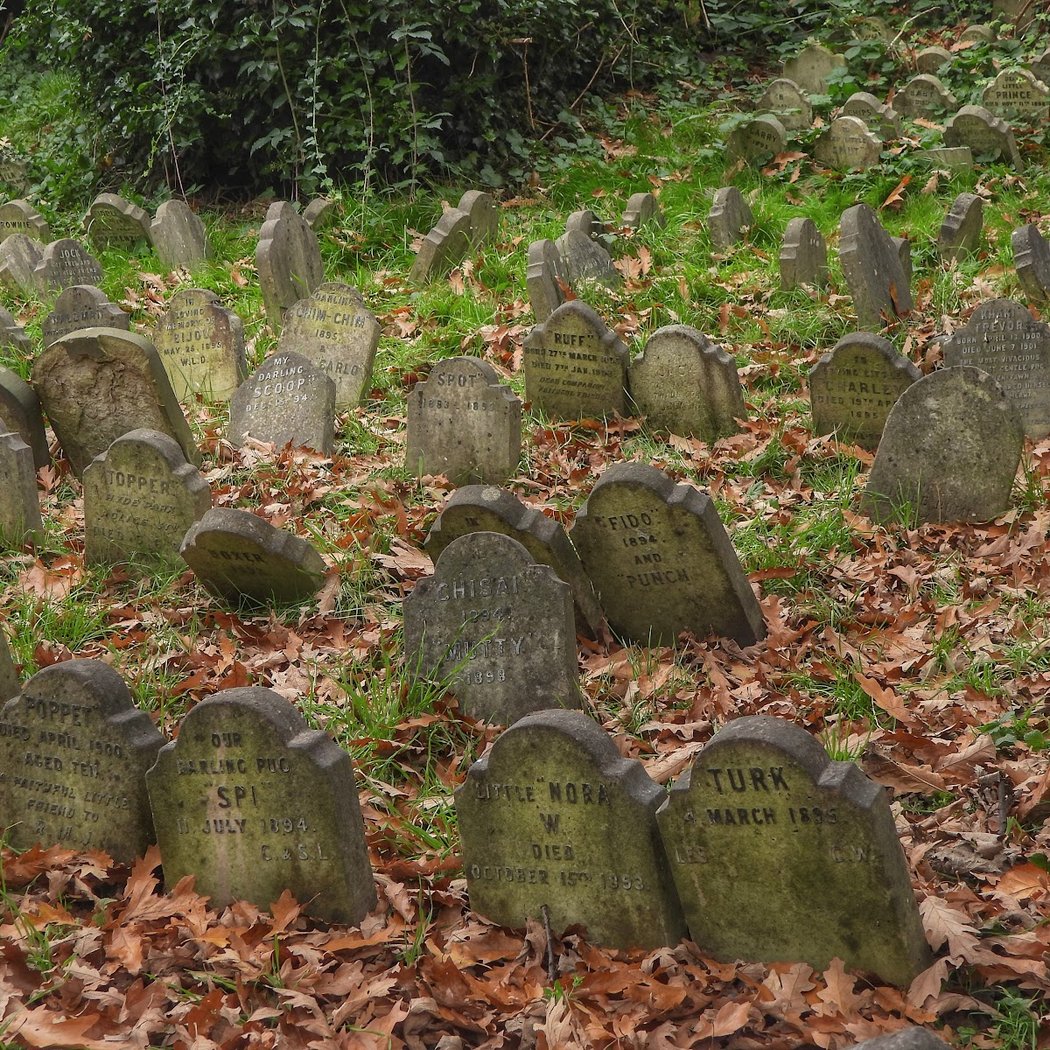 Hyde Park Pet Cemetery 2