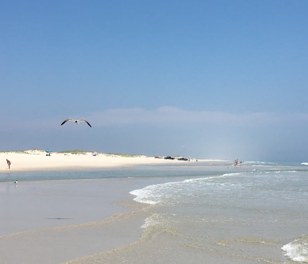 Island Beach State Park 4