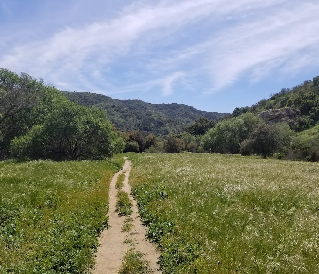 Explorers Hike: Laurel Canyon Loop 4
