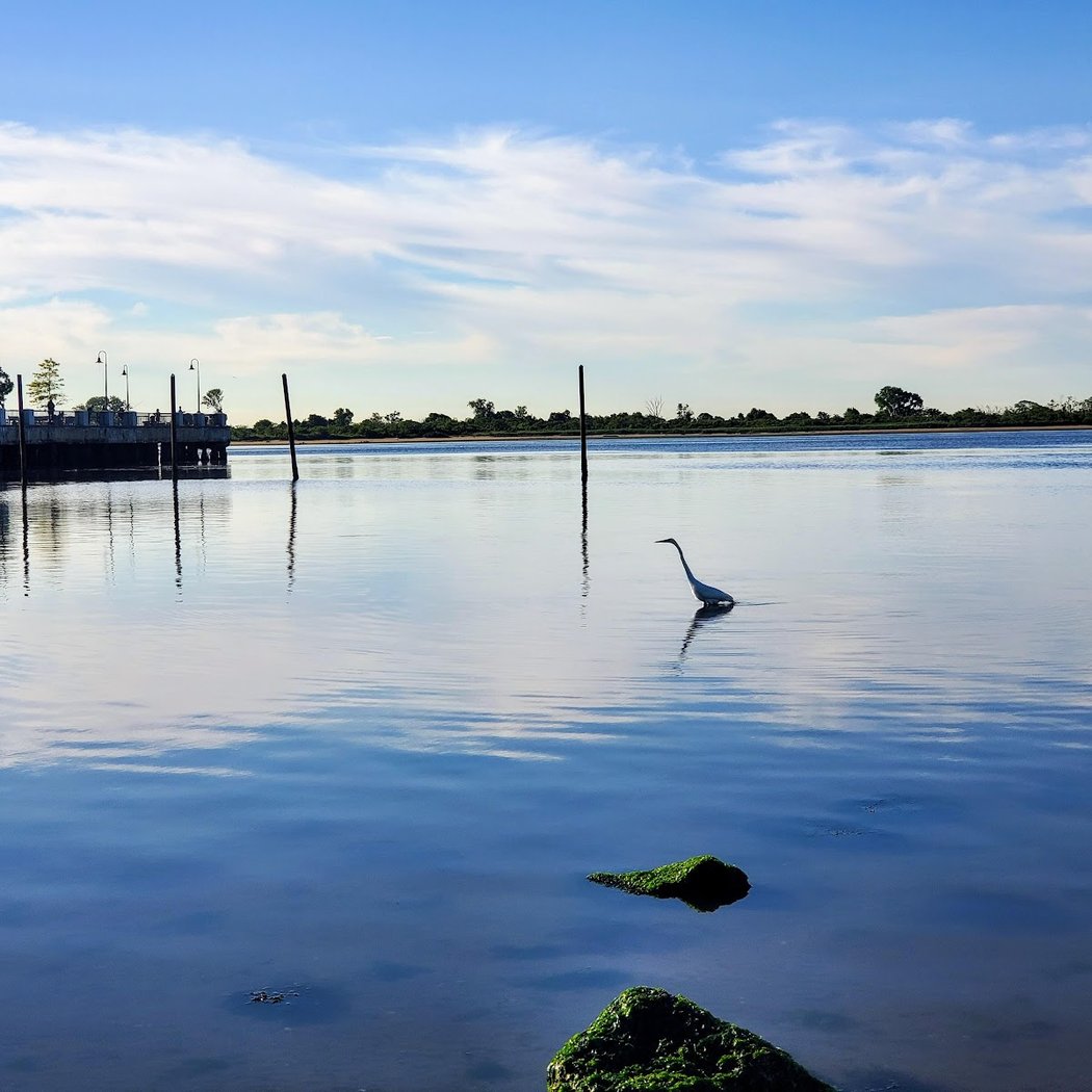 Canarsie Pier 1