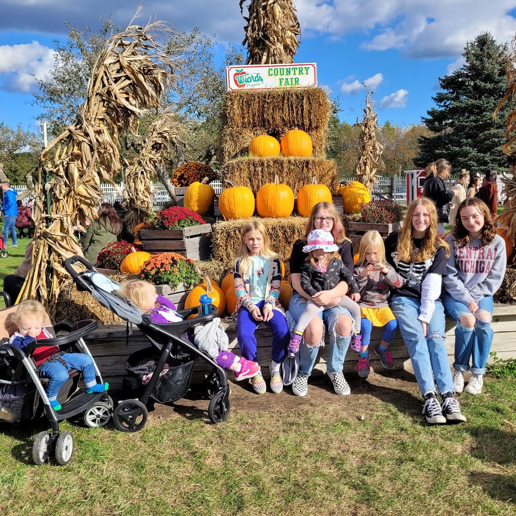 Country Fair 2