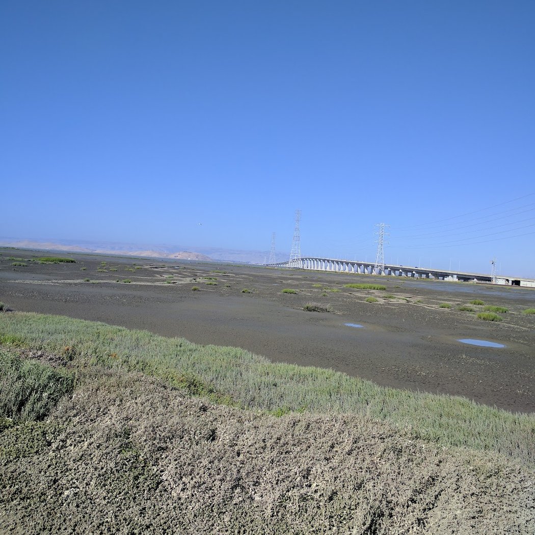 Ravenswood Point 3