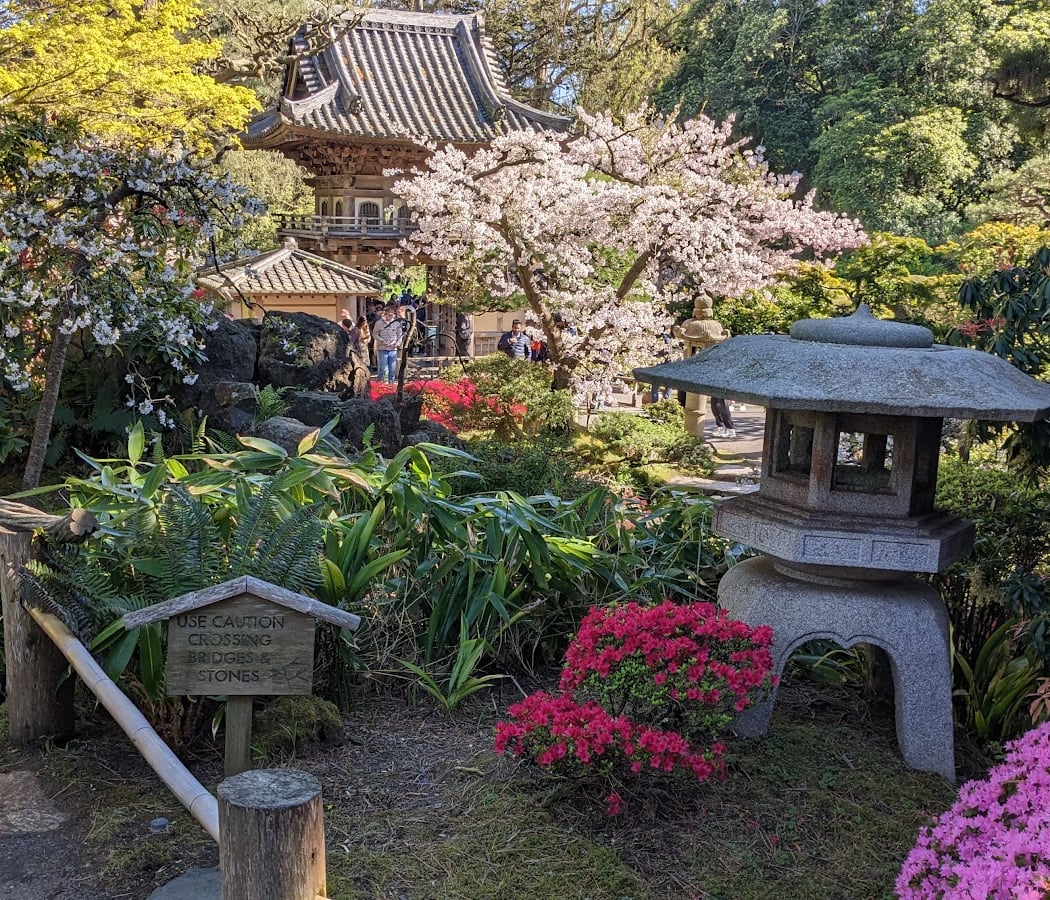 Japanese Tea Garden's Free Admission Hour 4