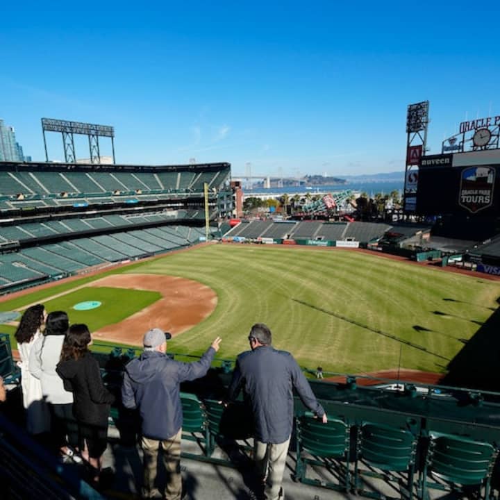 Oracle Park: Guided Visit 1