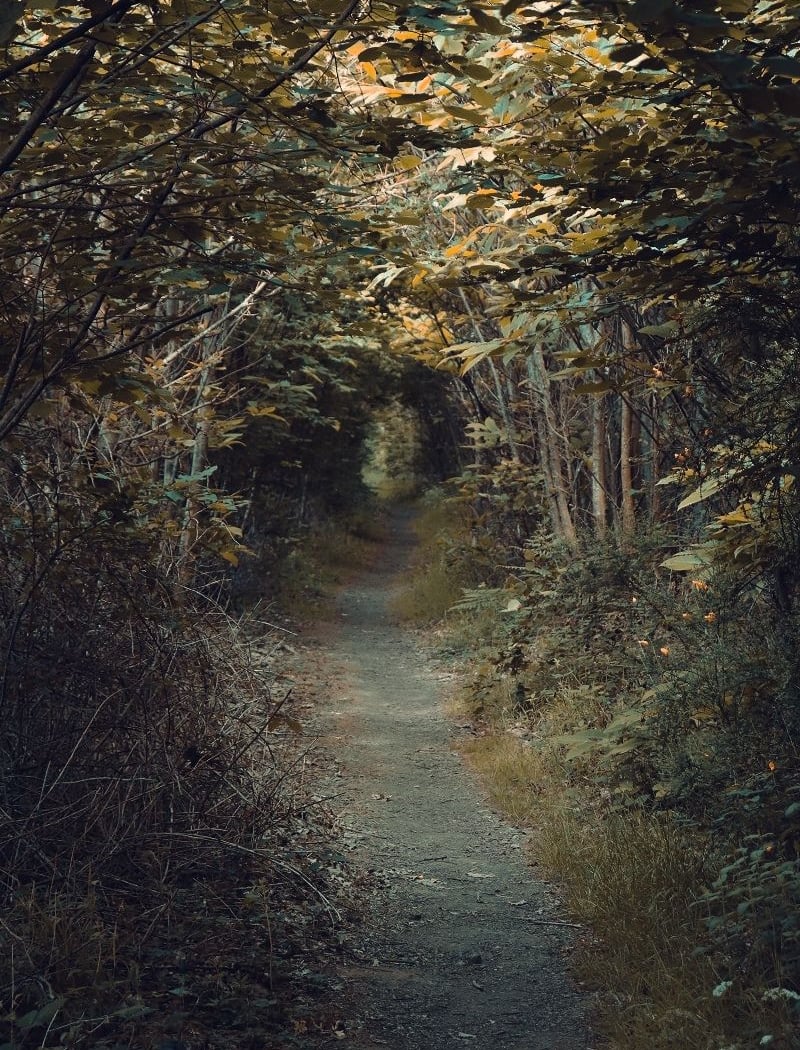 Station de Trail On Piste Les Herbiers 3