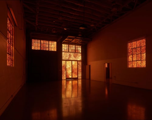Andy Goldsworthy: Firehouse 1