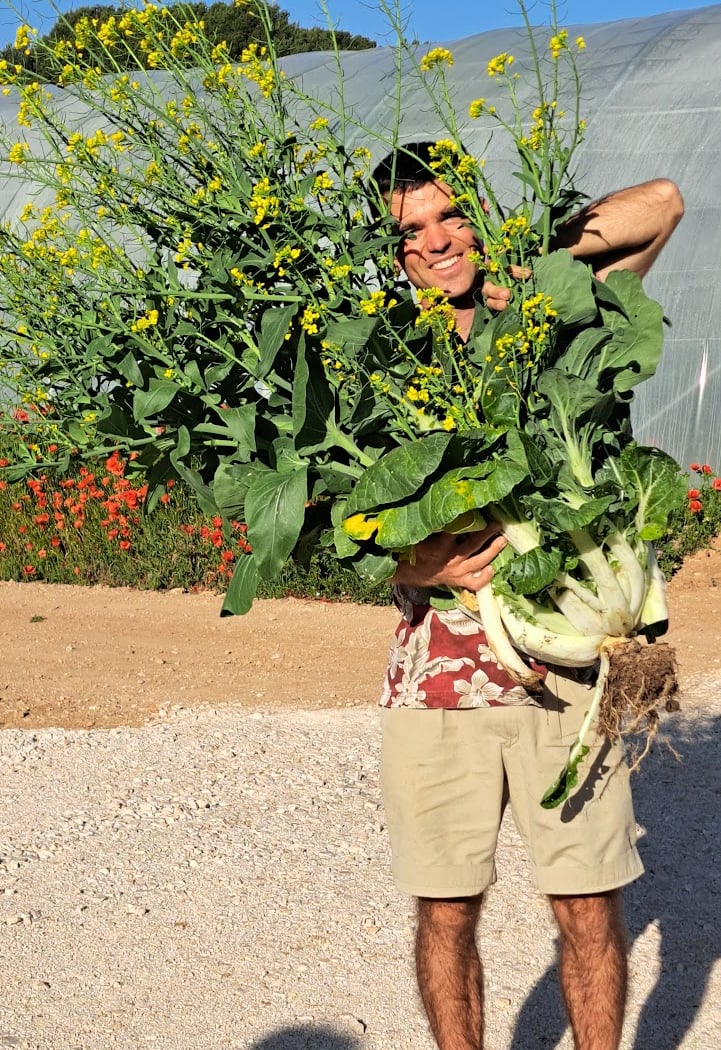 Terre de Mars - La ferme - Paysan Traiteur à La Bétheline 2