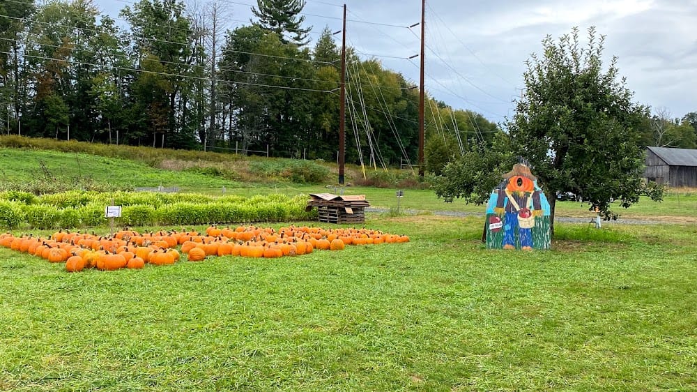 Easy Pickin's Orchard 3