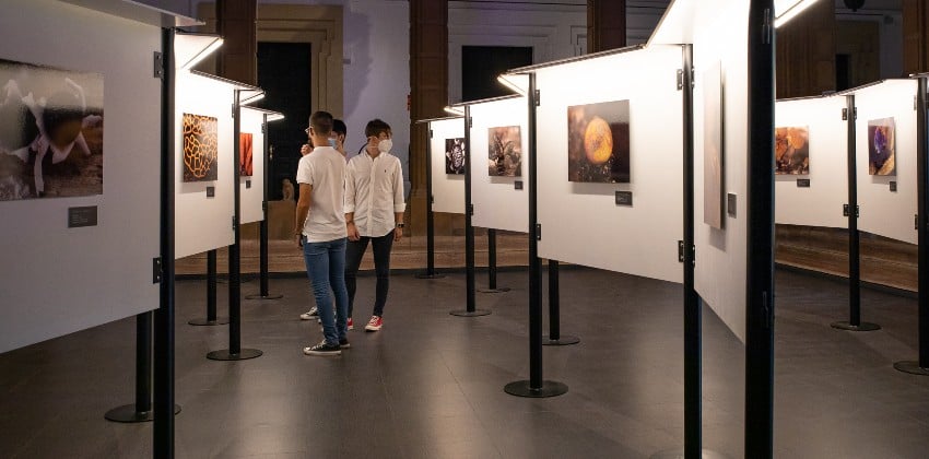 Visita guiada en Casa de la Ciencia: Las plantas nos revelan el cambio climático 2