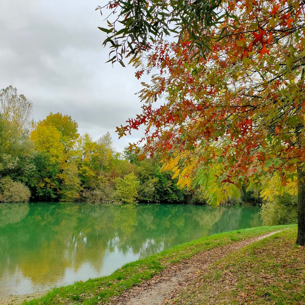 Parc de l’Ancienne Plage de Gournay 1