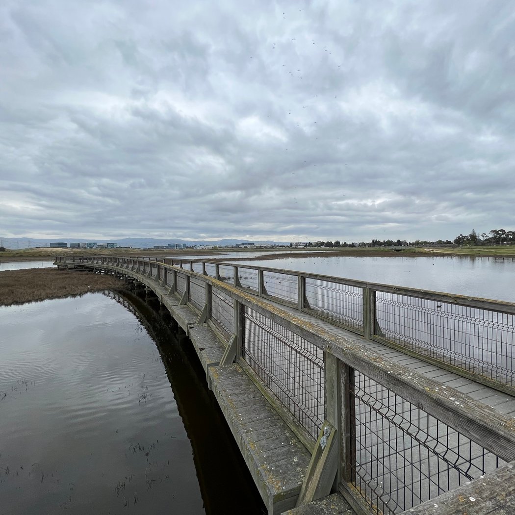 Sunnyvale Baylands Park 2