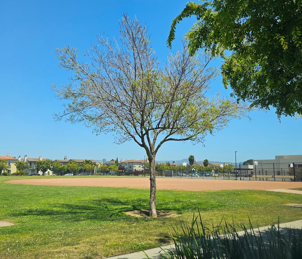 Bayport Park 2