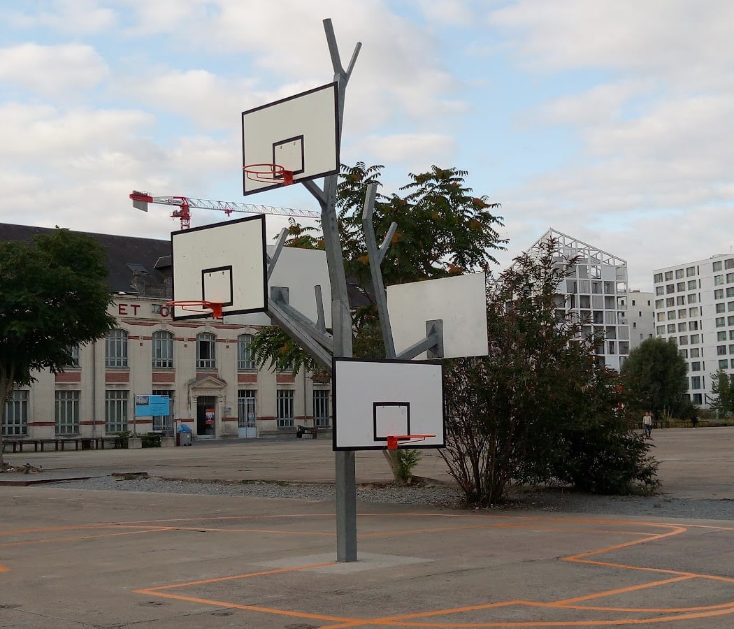 L'arbre à basket 4