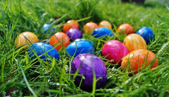 Easter Egg Hunt & The Easter Bunny 1