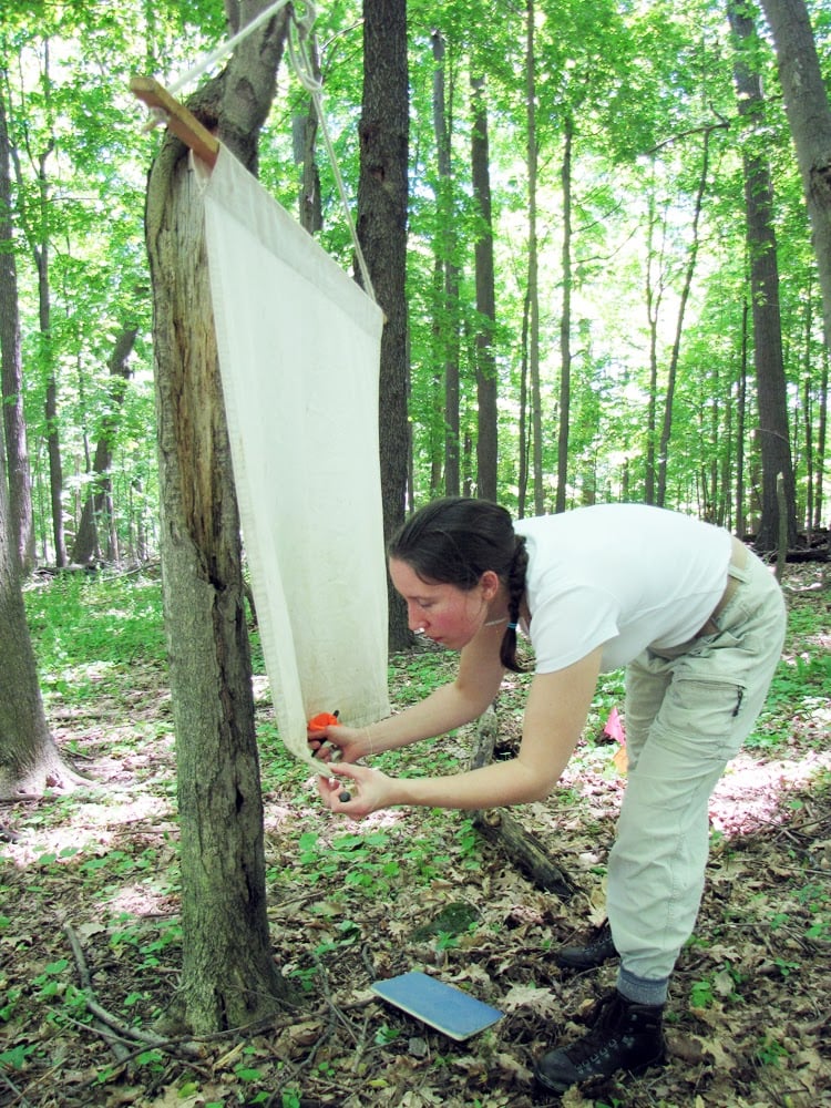 Ecology, Indigenous Knowledge, and Caring for the Earth 1