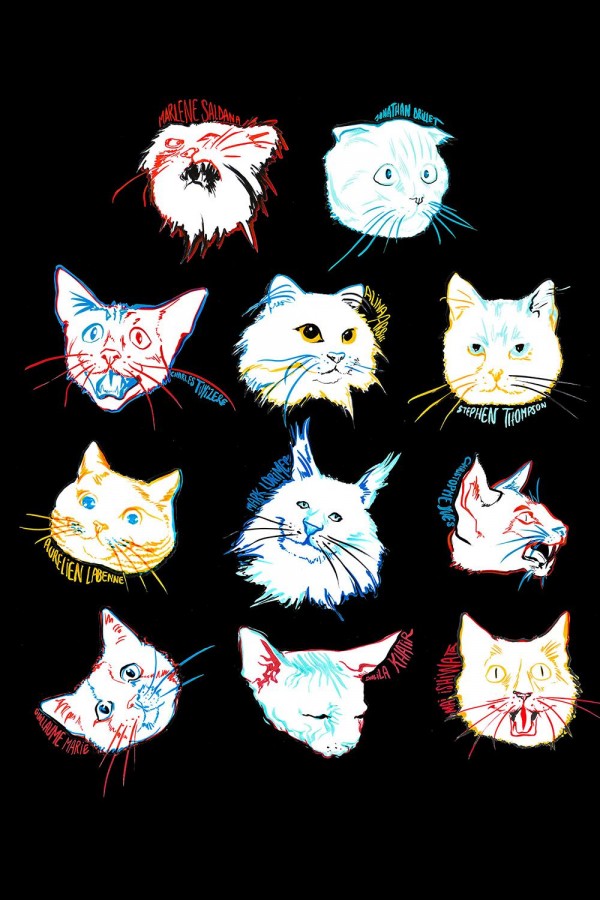 Les chats (ou ceux qui frappent et ceux...) 2