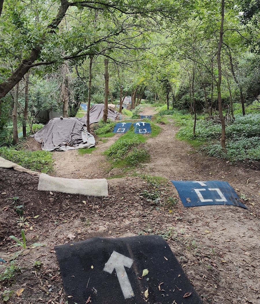 Tuebingen Park 1