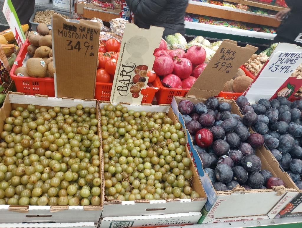 Ralph Av Fresh Farm 1