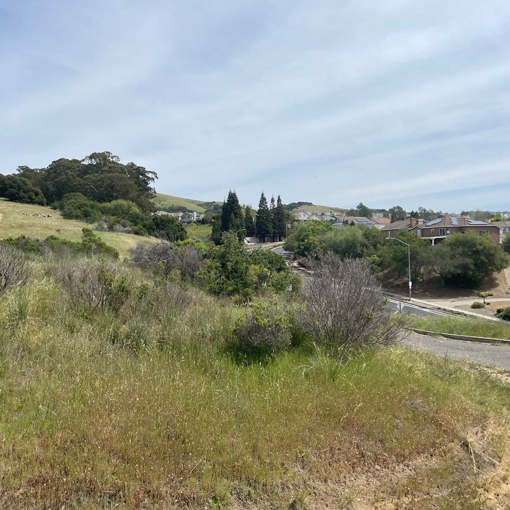 Ridge Trail Park 2