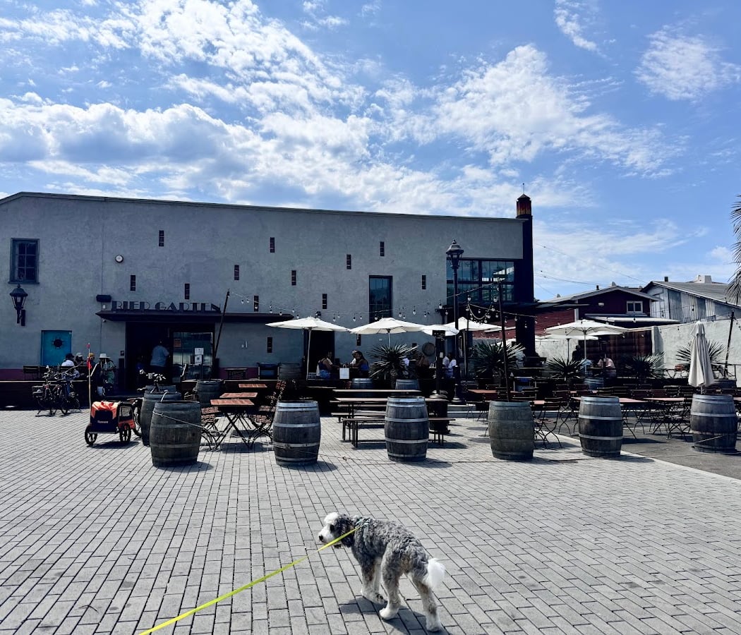 World Cup Outdoor Viewing 3