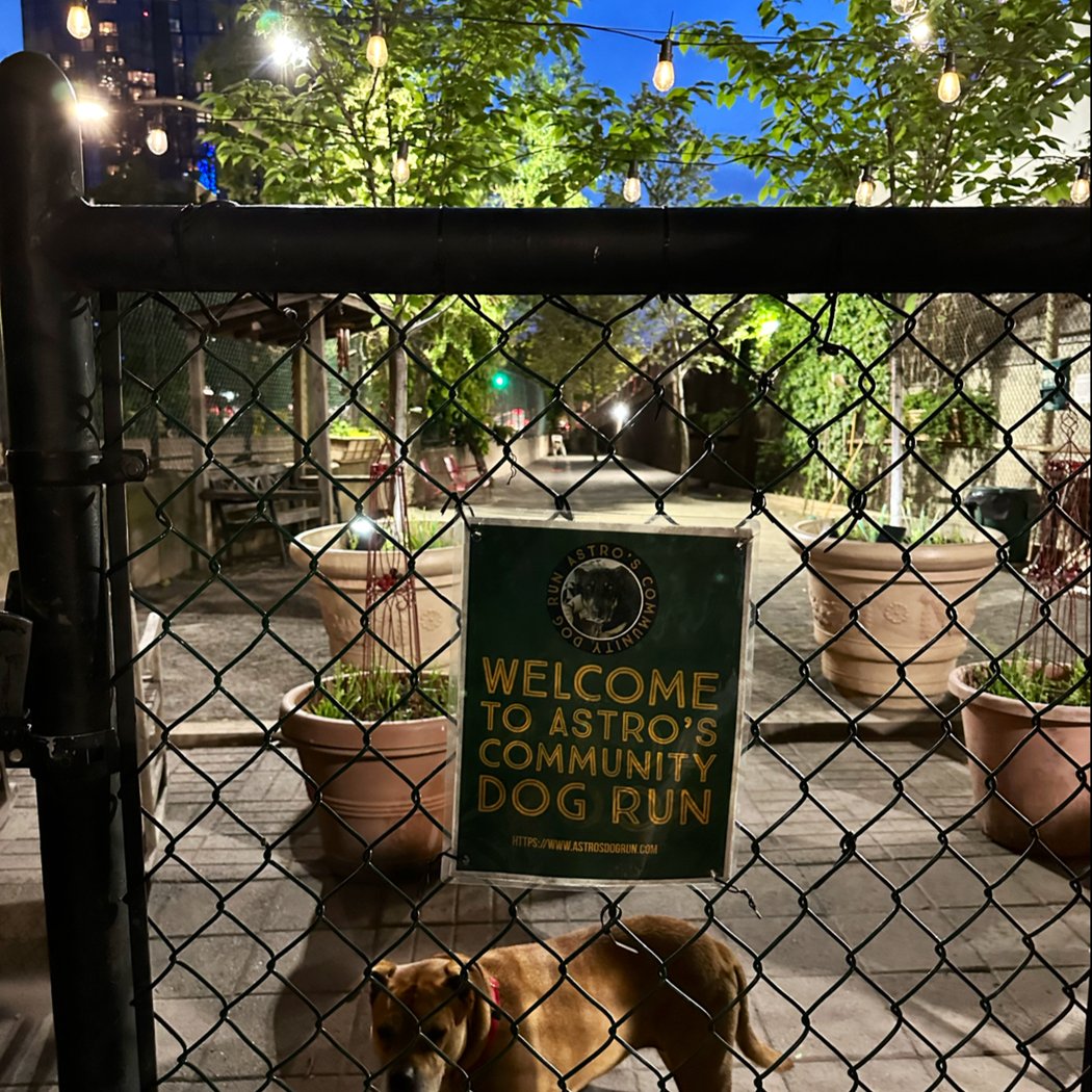 Astro's Community Dog Run 2