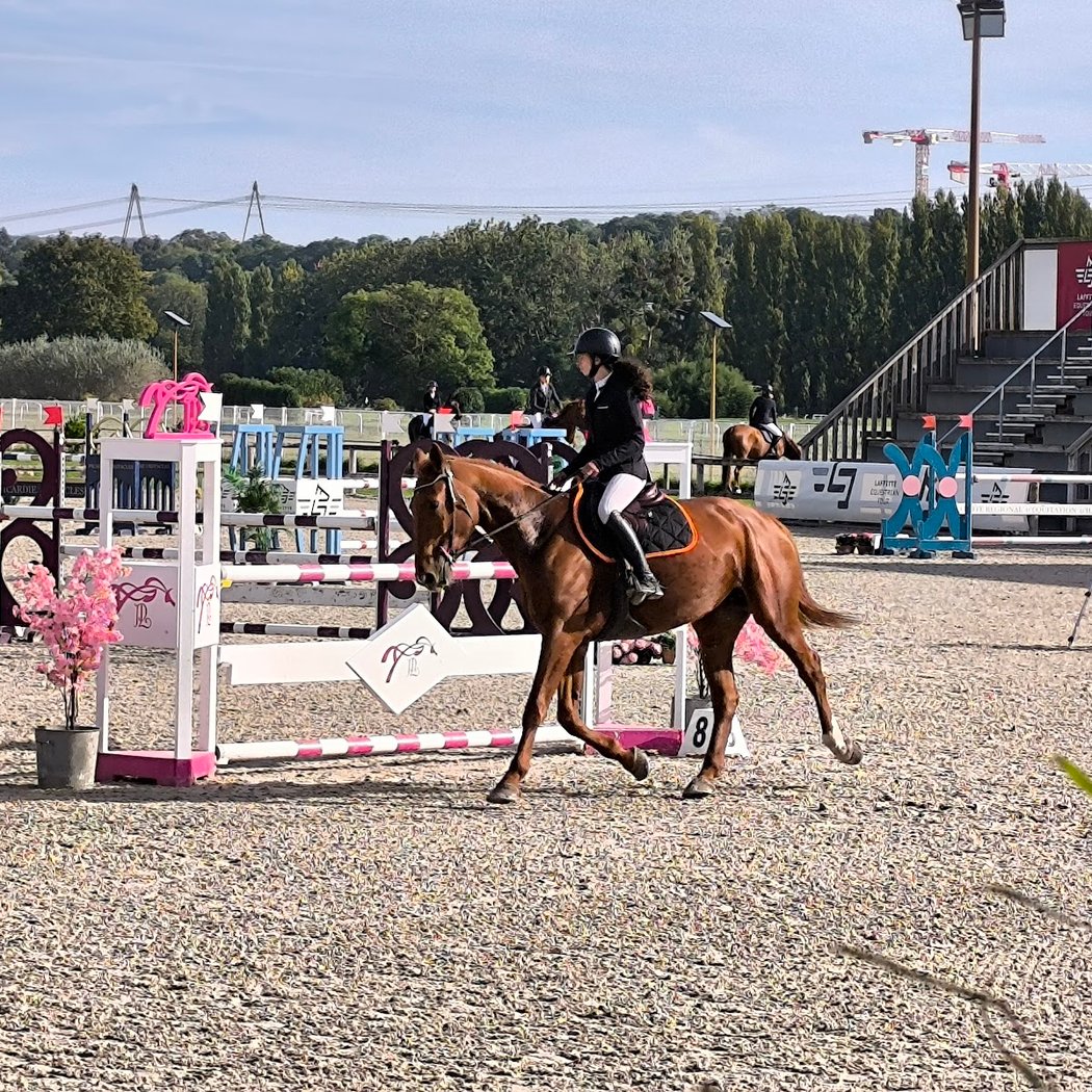 Concours de Saut d’obstacles 2