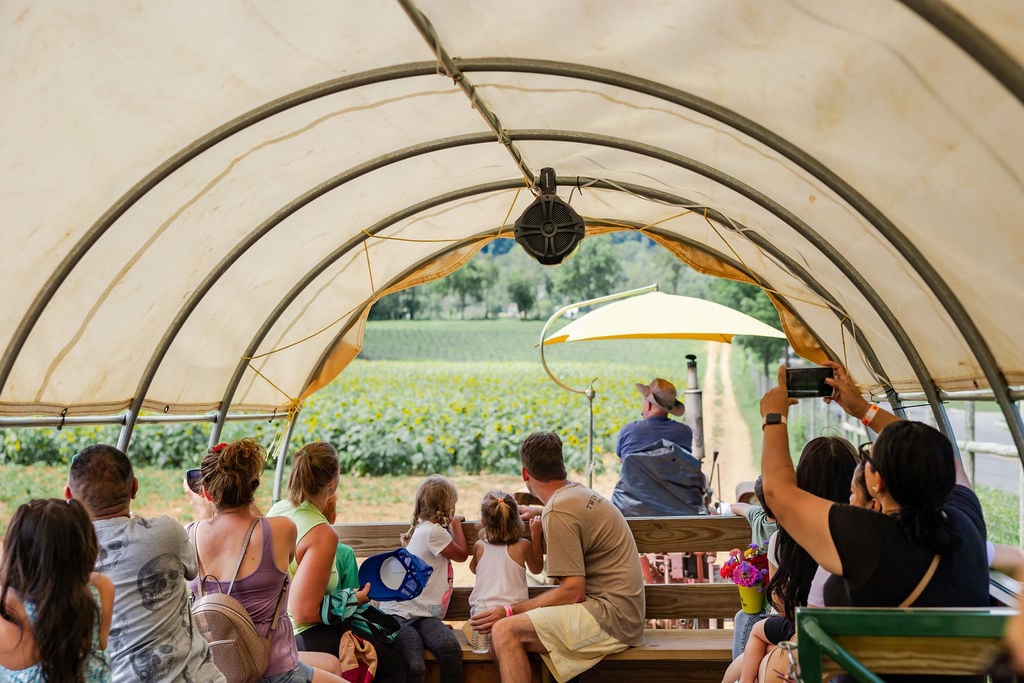 Sweet Corn Fest 2