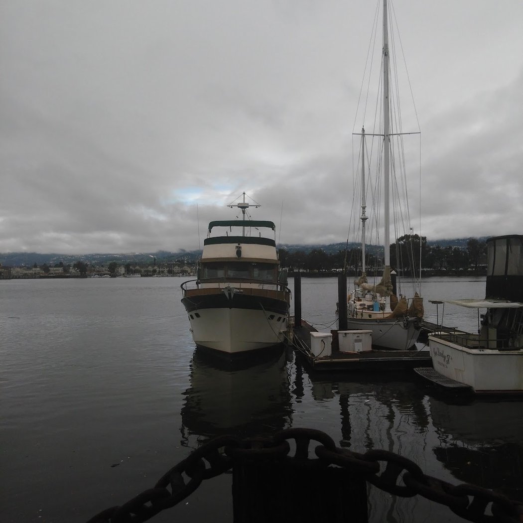 Fortman Marina 3