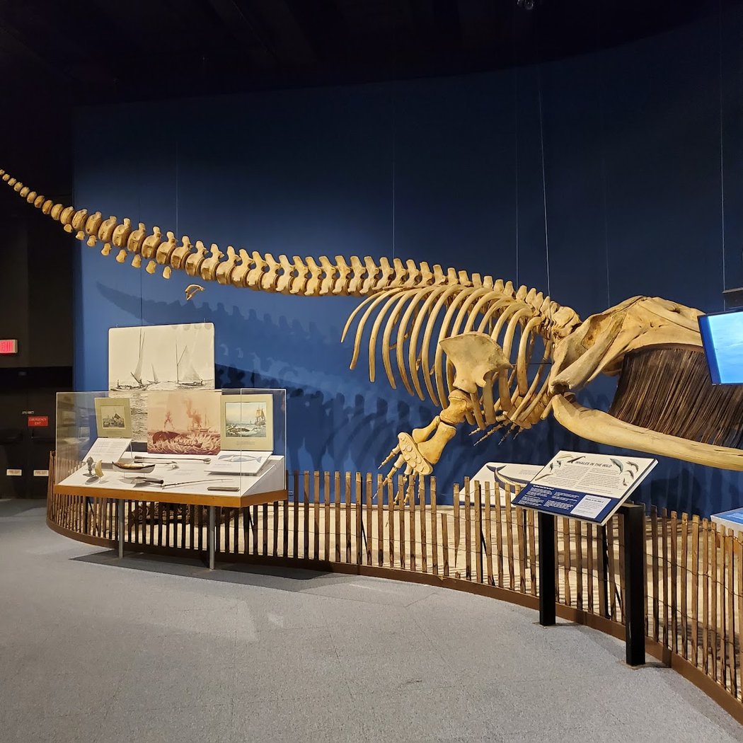 New York State Museum 4