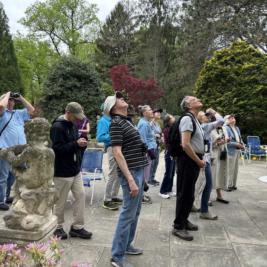Guided Bird Walks 1
