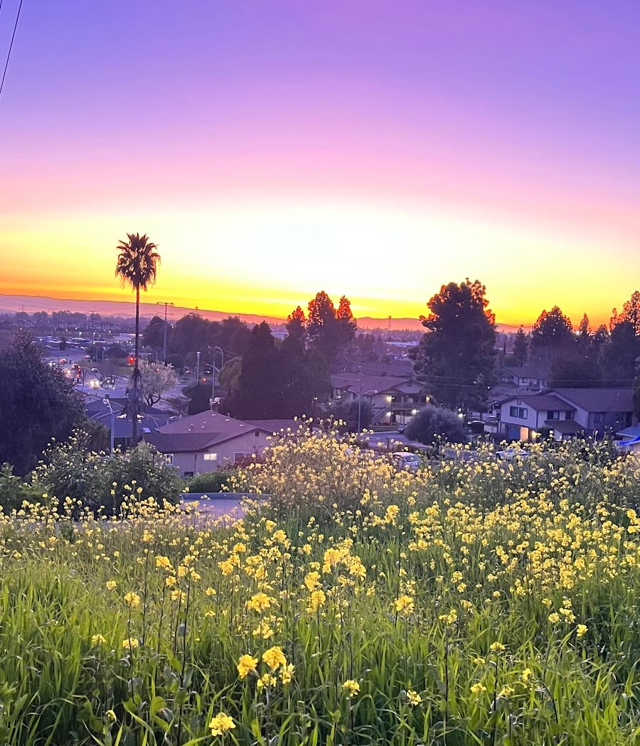 Seven Hills Park 4