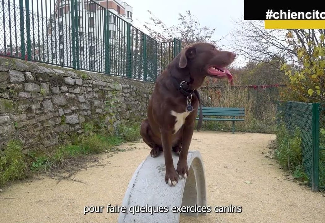 Espace canin Coulée Verte René Dumont 1