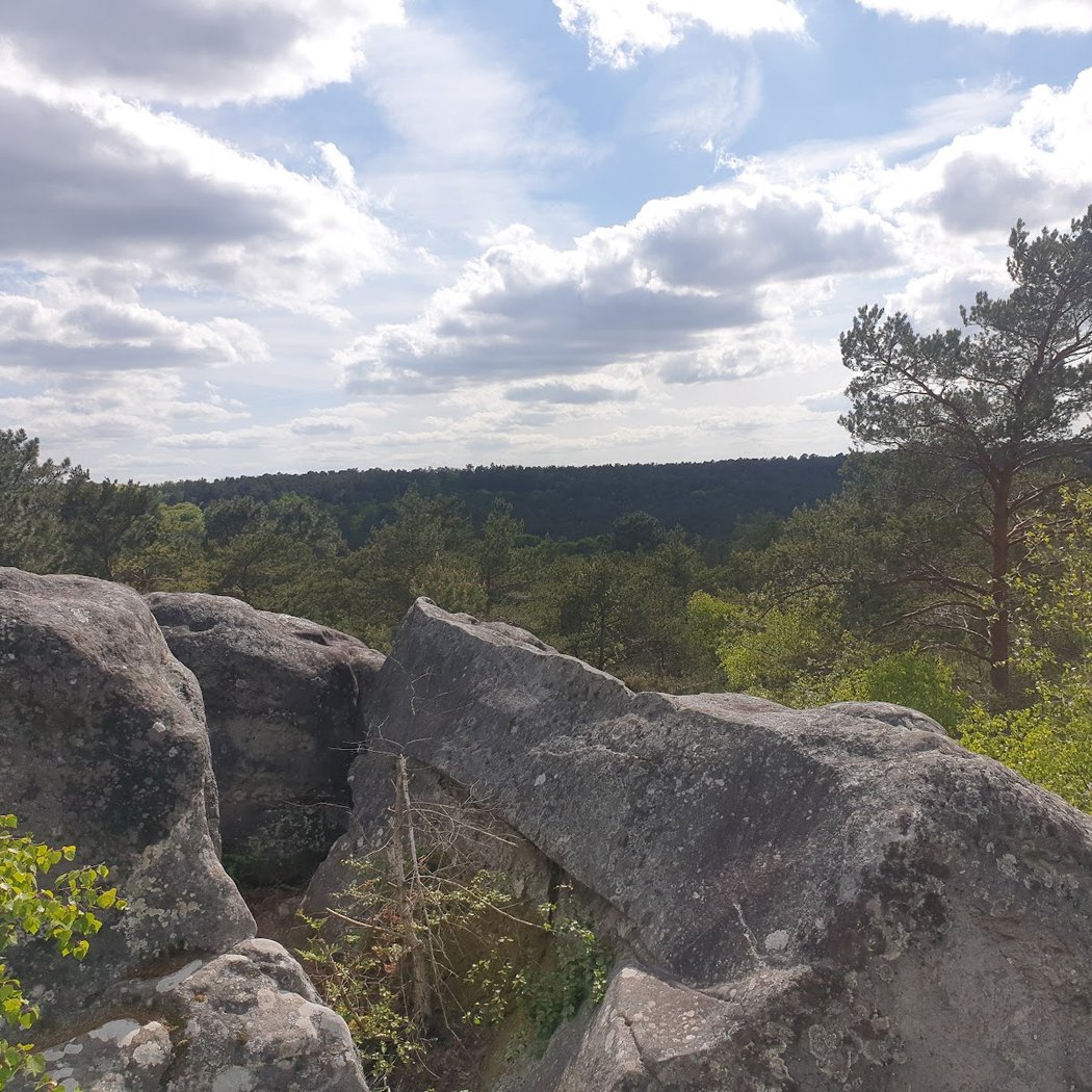Gorges et Platières d'Apremont 2