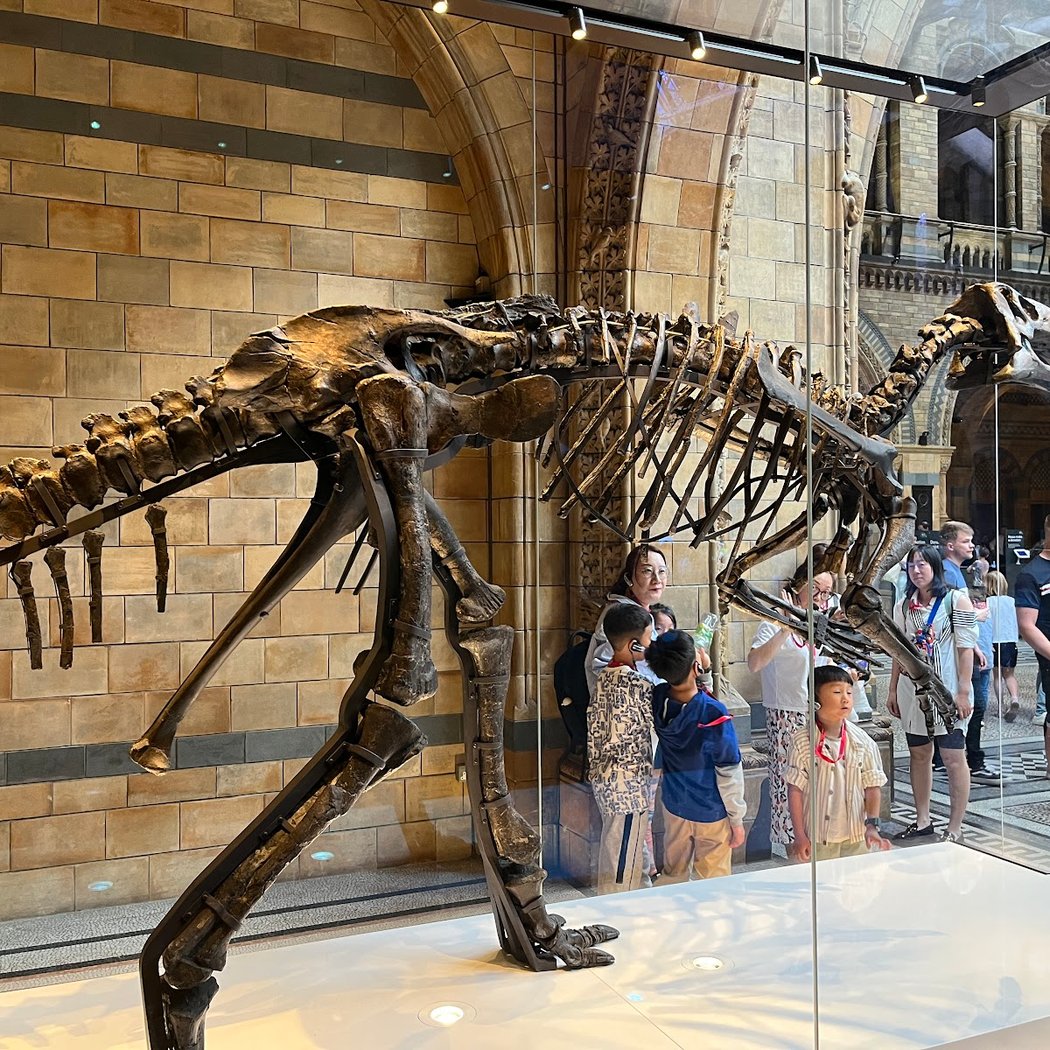 Jurassic Jaws 2