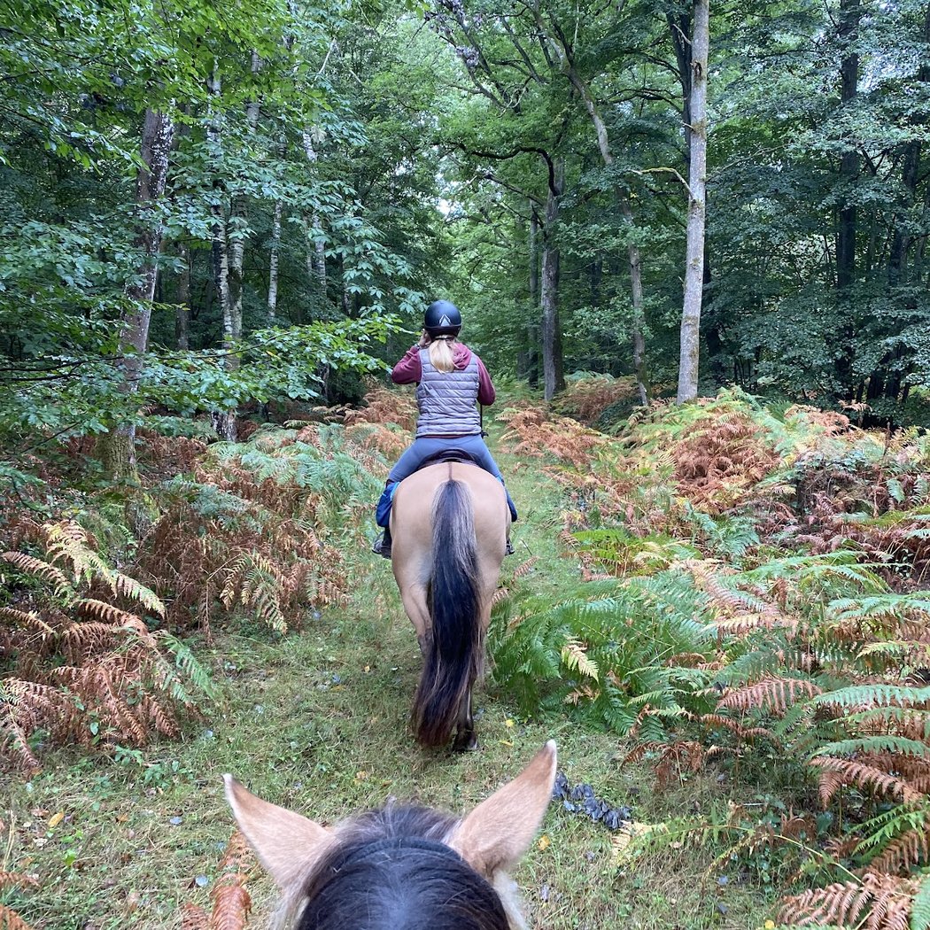 Enowood | Pension Ecurie Active | Cours Enfants Et Adultes | Balade Cheval | Seminars | Team Building 3